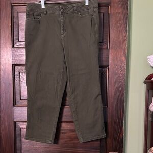 Dana Buchman Green Capris Pants